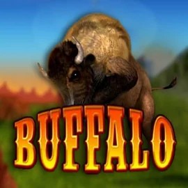 Buffalo Bingo logo – Bingo by MGA Games at Brutal Casino